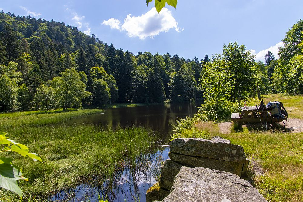 Klicke auf die Grafik für eine vergrößerte Ansicht  Name: 13 Pause am Étang du Petit-Haut.jpg Ansichten: 17 Größe: 367,3 KB ID: 3356124