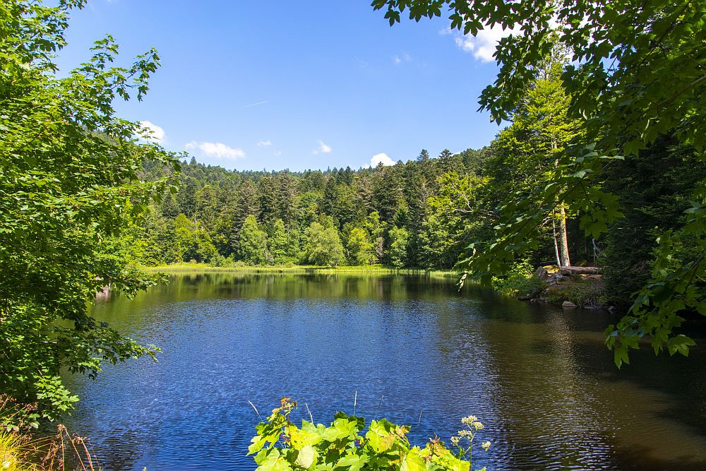 Klicke auf die Grafik für eine vergrößerte Ansicht  Name: 14 Entspannter Neustart auf 930 Metern.jpg Ansichten: 11 Größe: 361,2 KB ID: 3356126