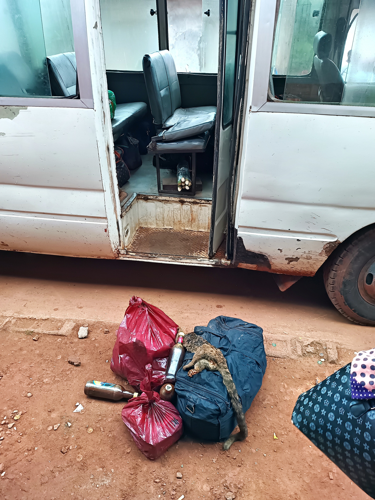 Klicke auf die Grafik für eine vergrößerte Ansicht  Name: IMG_20240629_070220_030R.jpg Ansichten: 61 Größe: 967,5 KB ID: 3356195