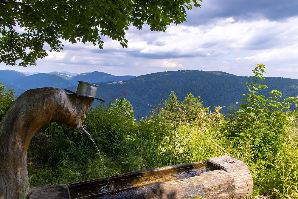 Klicke auf die Grafik für eine vergrößerte Ansicht  Name: 26 Pause an der Abri Sailley - Luthier.jpg Ansichten: 8 Größe: 342,6 KB ID: 3356244