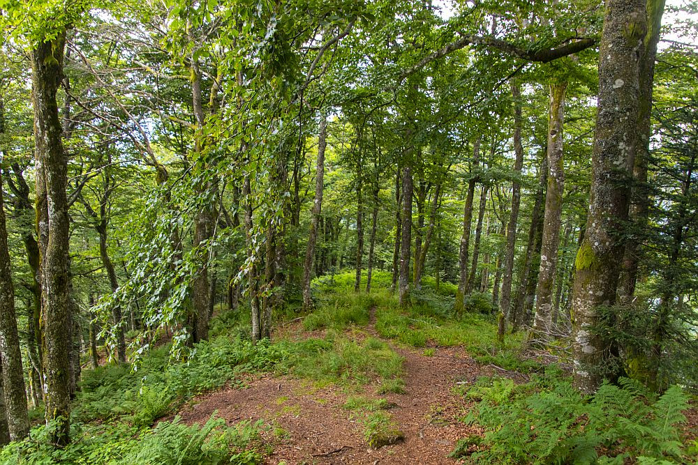 Klicke auf die Grafik für eine vergrößerte Ansicht  Name: 29 Tendenziell geht es abwärts mit uns.jpg Ansichten: 8 Größe: 478,9 KB ID: 3356250