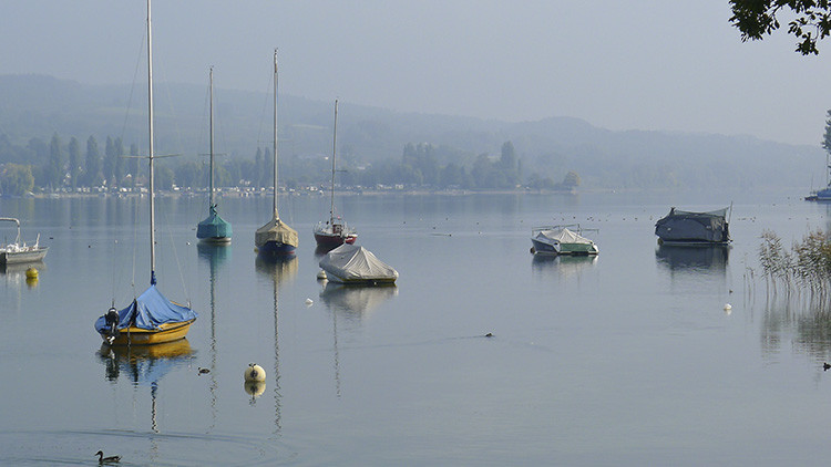 Klicke auf die Grafik für eine vergrößerte Ansicht

Name: WAI_44_Schweiz.jpg
Ansichten: 95
Größe: 68,1 KB
ID: 3356267