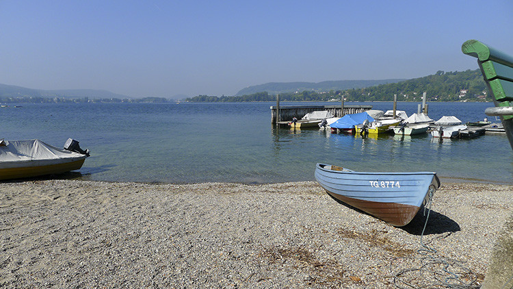 Klicke auf die Grafik für eine vergrößerte Ansicht

Name: WAI_48_Schweiz.jpg
Ansichten: 101
Größe: 147,9 KB
ID: 3356270