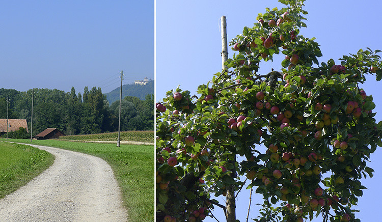 Klicke auf die Grafik für eine vergrößerte Ansicht

Name: WAI_49_Schweiz.jpg
Ansichten: 102
Größe: 170,5 KB
ID: 3356272