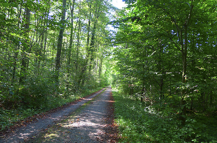 Klicke auf die Grafik für eine vergrößerte Ansicht

Name: WAI_55_Schweiz.jpg
Ansichten: 102
Größe: 327,3 KB
ID: 3356278