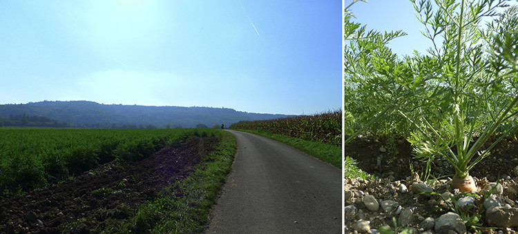 Klicke auf die Grafik für eine vergrößerte Ansicht

Name: WAI_57_Schweiz.jpg
Ansichten: 99
Größe: 116,9 KB
ID: 3356279