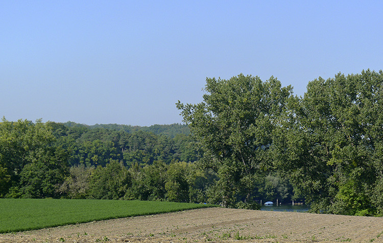 Klicke auf die Grafik für eine vergrößerte Ansicht

Name: WAI_58_Schweiz.jpg
Ansichten: 99
Größe: 164,0 KB
ID: 3356280