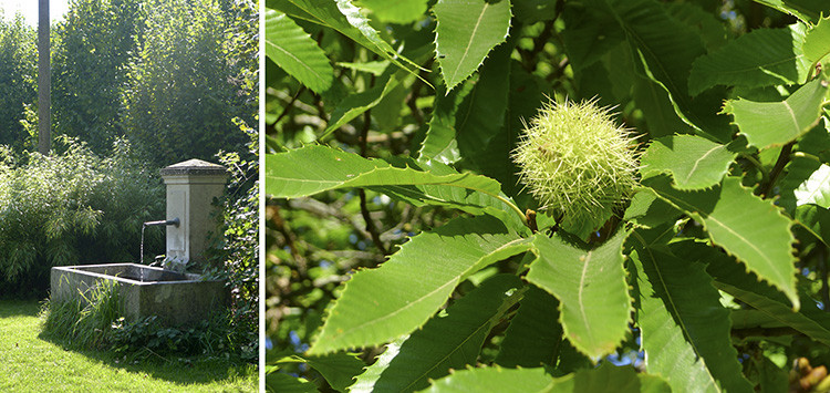 Klicke auf die Grafik für eine vergrößerte Ansicht

Name: WAI_59_Schweiz.jpg
Ansichten: 96
Größe: 154,5 KB
ID: 3356281