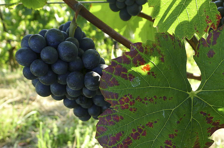 Klicke auf die Grafik für eine vergrößerte Ansicht

Name: WAI_63_Schweiz.jpg
Ansichten: 99
Größe: 166,5 KB
ID: 3356284