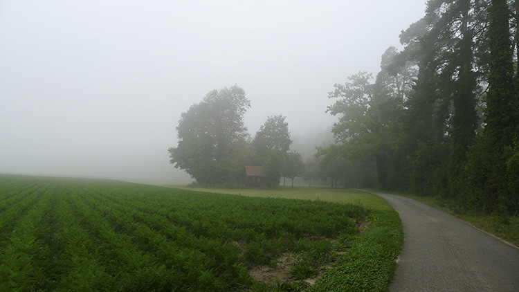 Klicke auf die Grafik für eine vergrößerte Ansicht  Name: WAI_72_Schweiz.jpg Ansichten: 0 Größe: 79,9 KB ID: 3356295