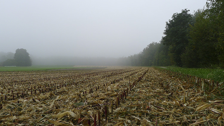 Klicke auf die Grafik für eine vergrößerte Ansicht  Name: WAI_74_Schweiz.jpg Ansichten: 0 Größe: 133,8 KB ID: 3356297