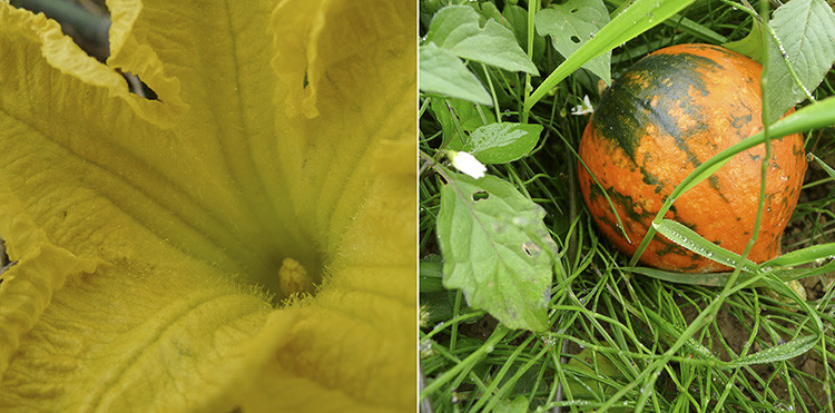 Klicke auf die Grafik für eine vergrößerte Ansicht  Name: WAI_80_Schweiz.jpg Ansichten: 0 Größe: 130,3 KB ID: 3356302