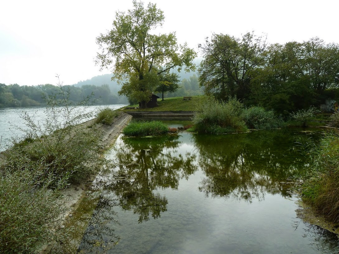 Klicke auf die Grafik für eine vergrößerte Ansicht

Name: P1020979.jpg
Ansichten: 97
Größe: 349,8 KB
ID: 3356310