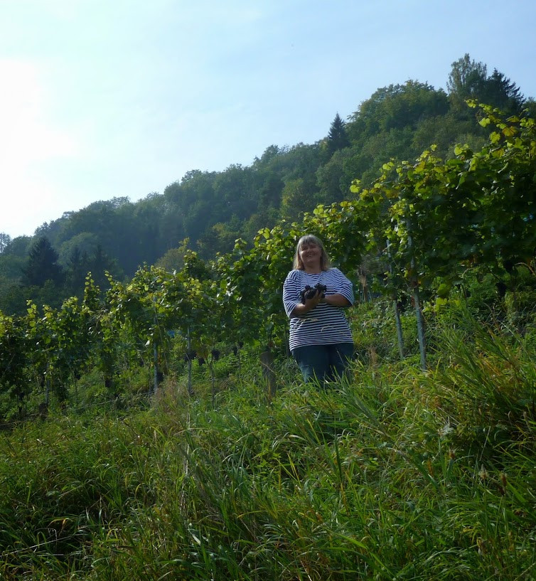 Klicke auf die Grafik für eine vergrößerte Ansicht

Name: P1030025.jpg
Ansichten: 97
Größe: 244,9 KB
ID: 3356316