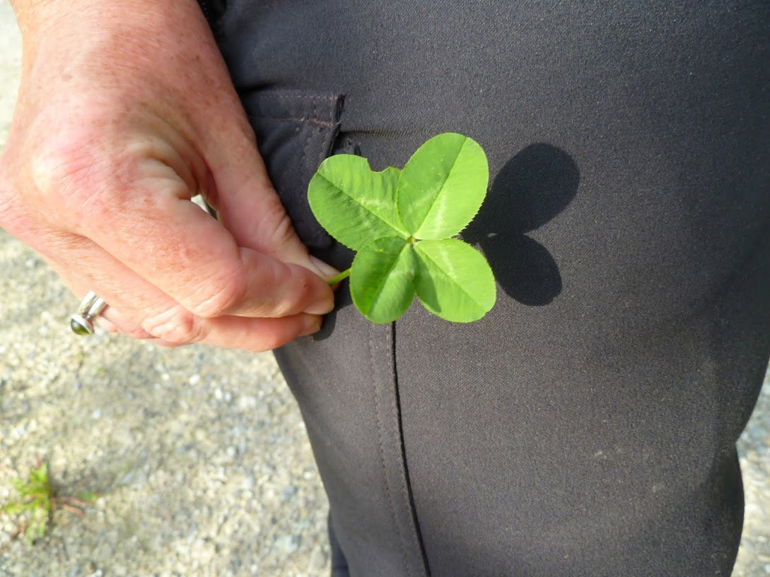 Klicke auf die Grafik für eine vergrößerte Ansicht

Name: P1030064.jpg
Ansichten: 96
Größe: 230,0 KB
ID: 3356317