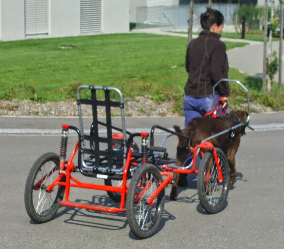 Klicke auf die Grafik für eine vergrößerte Ansicht

Name: BILD0020.jpg
Ansichten: 94
Größe: 181,6 KB
ID: 3356322