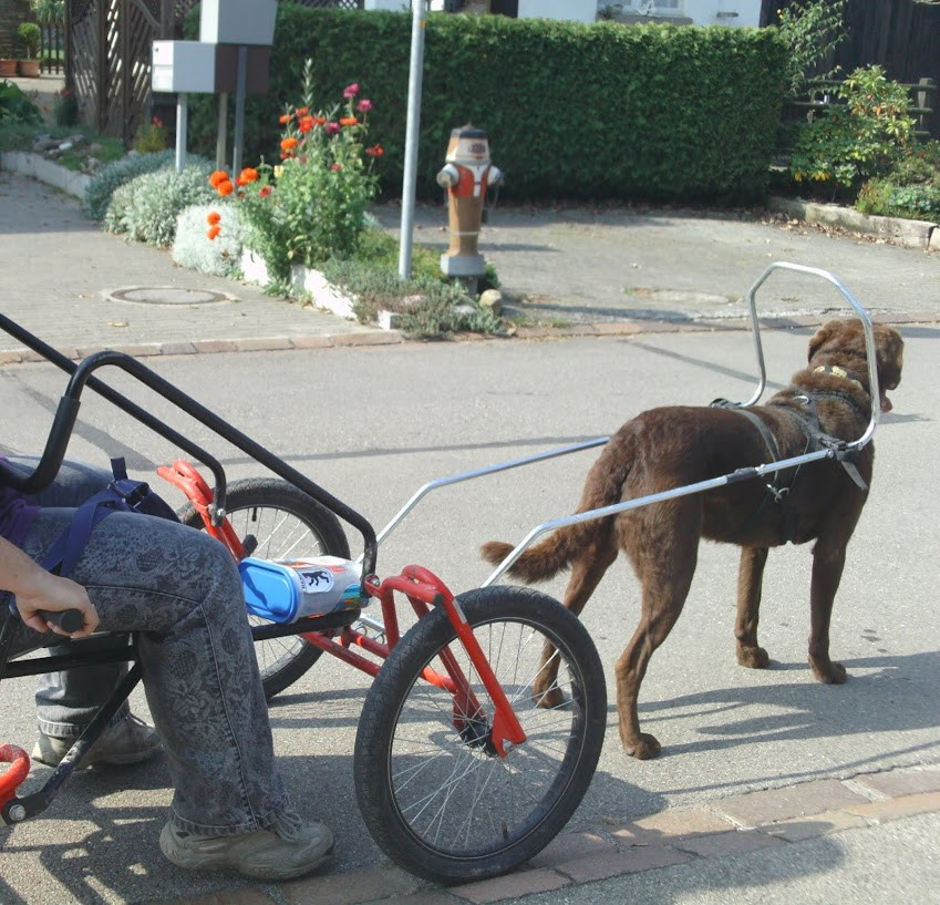 Klicke auf die Grafik für eine vergrößerte Ansicht

Name: BILD0016.jpg
Ansichten: 93
Größe: 238,1 KB
ID: 3356323