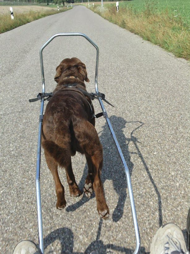 Klicke auf die Grafik für eine vergrößerte Ansicht

Name: BILD0019.jpg
Ansichten: 95
Größe: 198,9 KB
ID: 3356324