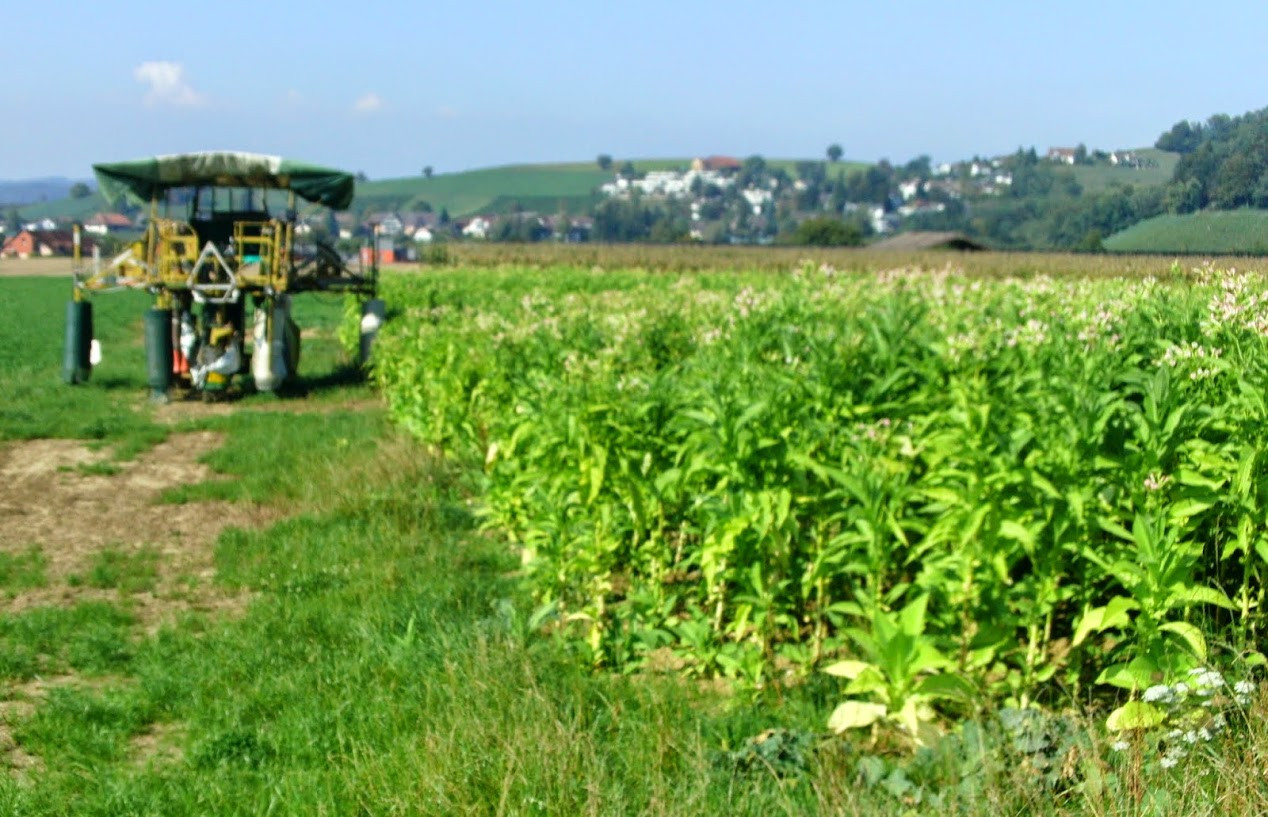 Klicke auf die Grafik für eine vergrößerte Ansicht

Name: BILD0043.jpg
Ansichten: 97
Größe: 334,8 KB
ID: 3356325