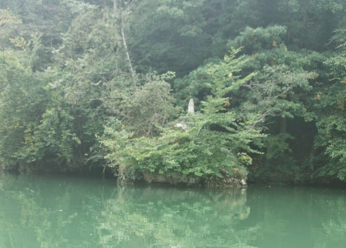 Klicke auf die Grafik für eine vergrößerte Ansicht

Name: BILD0061.jpg
Ansichten: 93
Größe: 244,0 KB
ID: 3356339