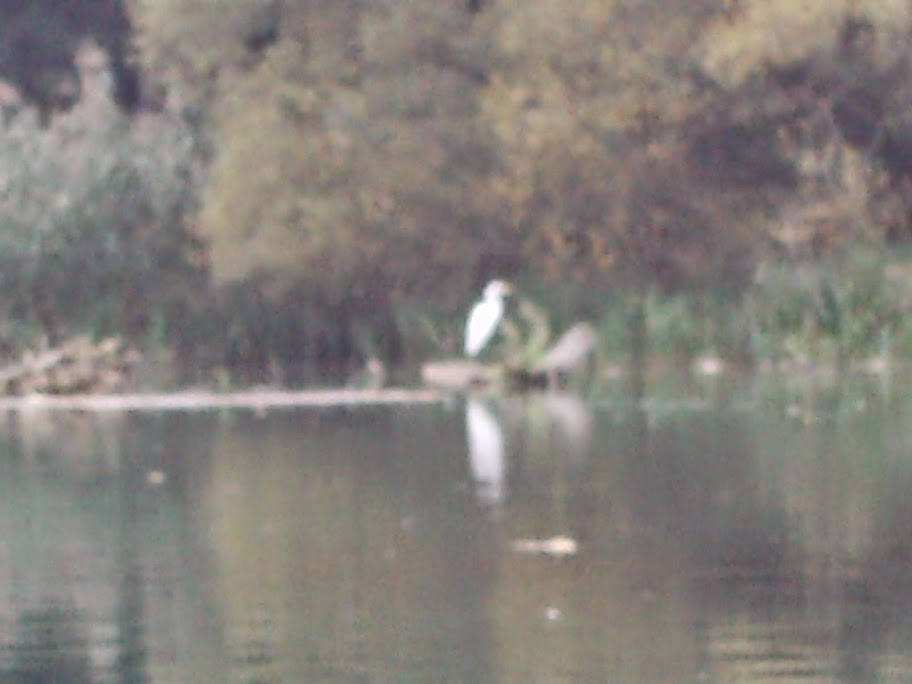 Klicke auf die Grafik für eine vergrößerte Ansicht

Name: BILD0081.jpg
Ansichten: 91
Größe: 83,4 KB
ID: 3356342