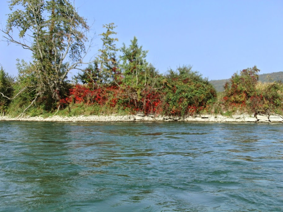 Klicke auf die Grafik für eine vergrößerte Ansicht

Name: BILD0133.jpg
Ansichten: 94
Größe: 226,8 KB
ID: 3356349