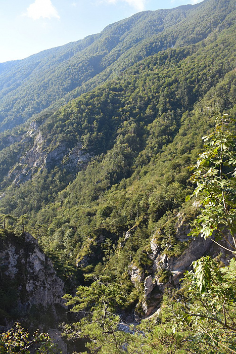 Klicke auf die Grafik für eine vergrößerte Ansicht  Name: DSC_0071.jpg Ansichten: 0 Größe: 849,9 KB ID: 3356372