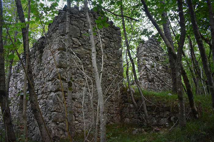 Klicke auf die Grafik für eine vergrößerte Ansicht  Name: DSC_0065.jpg Ansichten: 0 Größe: 1,13 MB ID: 3356374