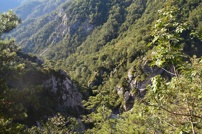 Klicke auf die Grafik für eine vergrößerte Ansicht  Name: DSC_0070.jpg Ansichten: 0 Größe: 1,28 MB ID: 3356375