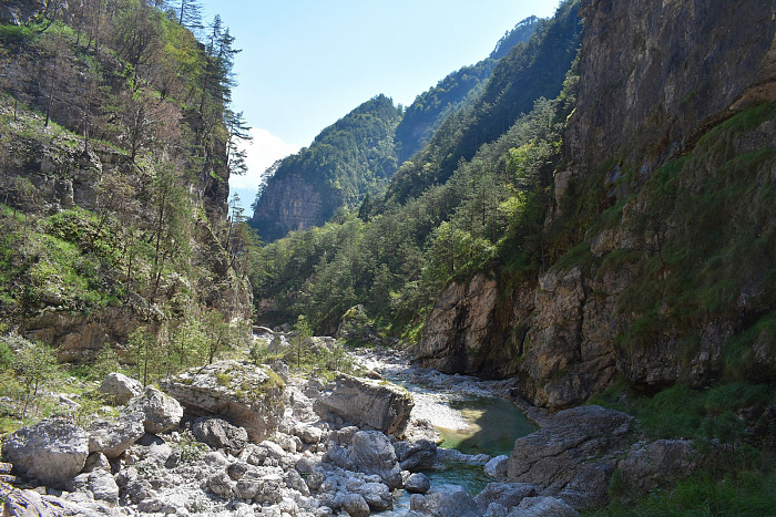 Klicke auf die Grafik für eine vergrößerte Ansicht  Name: DSC_0141.jpg Ansichten: 0 Größe: 1,02 MB ID: 3356382