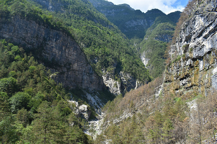 Klicke auf die Grafik für eine vergrößerte Ansicht  Name: DSC_0129.jpg Ansichten: 0 Größe: 1,23 MB ID: 3356384