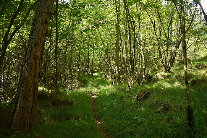 Klicke auf die Grafik für eine vergrößerte Ansicht  Name: DSC_0148.jpg Ansichten: 0 Größe: 1,34 MB ID: 3356385