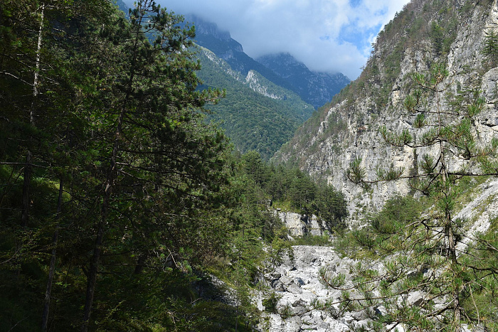 Klicke auf die Grafik für eine vergrößerte Ansicht  Name: DSC_0143.jpg Ansichten: 0 Größe: 1,14 MB ID: 3356387