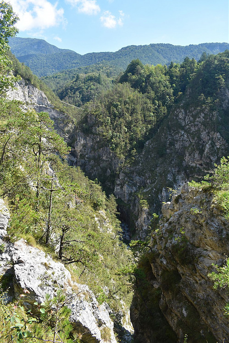 Klicke auf die Grafik für eine vergrößerte Ansicht

Name: DSC_0117.jpg
Ansichten: 0
Größe: 781,1 KB
ID: 3356397