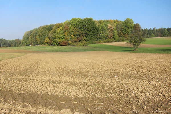 Klicke auf die Grafik für eine vergrößerte Ansicht

Name: 0089.jpg
Ansichten: 76
Größe: 110,8 KB
ID: 3356434