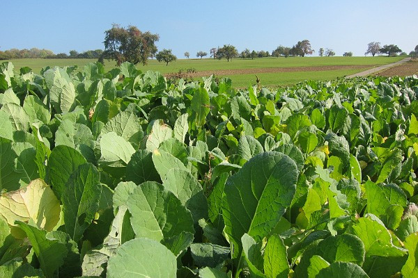 Klicke auf die Grafik für eine vergrößerte Ansicht

Name: 0105.jpg
Ansichten: 73
Größe: 120,6 KB
ID: 3356435