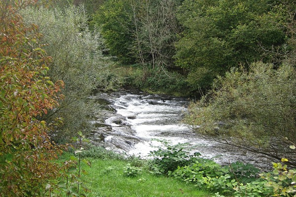 Klicke auf die Grafik für eine vergrößerte Ansicht

Name: 0173.jpg
Ansichten: 74
Größe: 150,2 KB
ID: 3356440