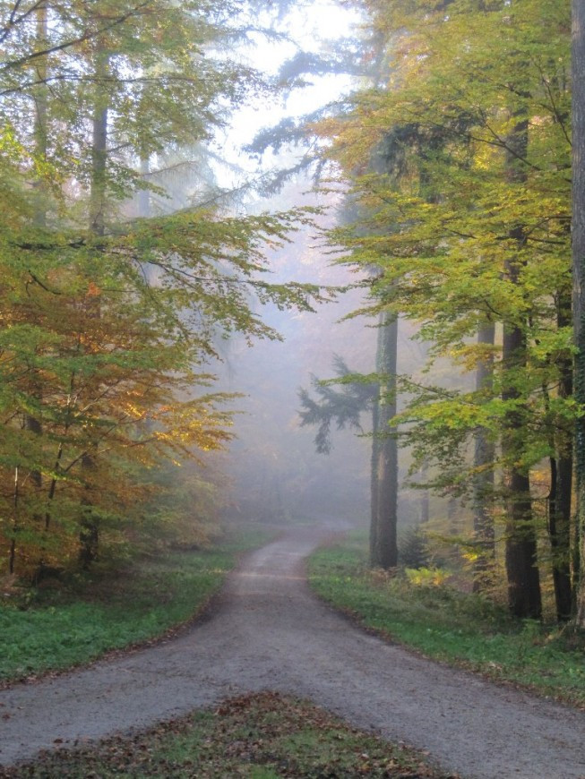 Klicke auf die Grafik für eine vergrößerte Ansicht

Name: IMG_20412.jpg
Ansichten: 71
Größe: 208,4 KB
ID: 3356451