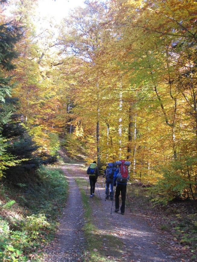 Klicke auf die Grafik für eine vergrößerte Ansicht

Name: IMG_20511.jpg
Ansichten: 72
Größe: 312,9 KB
ID: 3356452