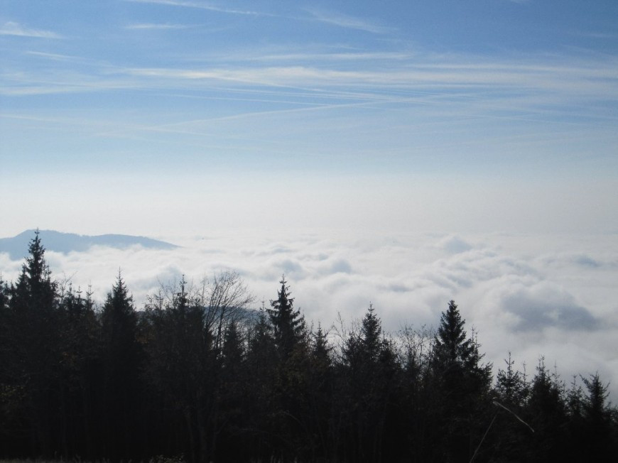 Klicke auf die Grafik für eine vergrößerte Ansicht

Name: IMG_20631.jpg
Ansichten: 71
Größe: 89,3 KB
ID: 3356453