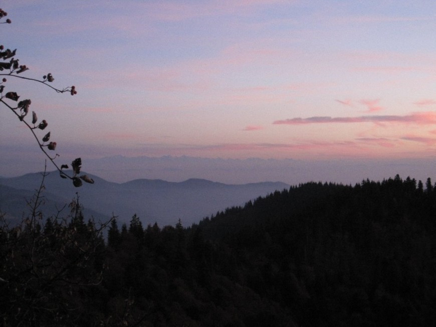 Klicke auf die Grafik für eine vergrößerte Ansicht

Name: IMG_2113.jpg
Ansichten: 71
Größe: 91,9 KB
ID: 3356457