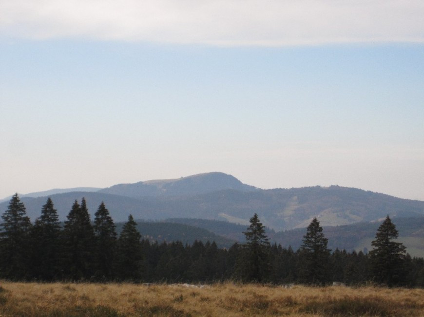 Klicke auf die Grafik für eine vergrößerte Ansicht

Name: IMG_2128.jpg
Ansichten: 71
Größe: 85,2 KB
ID: 3356461