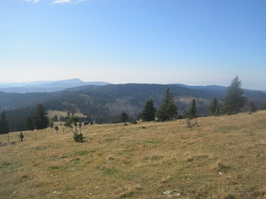 Klicke auf die Grafik für eine vergrößerte Ansicht

Name: wai_007.jpg
Ansichten: 72
Größe: 116,5 KB
ID: 3356471