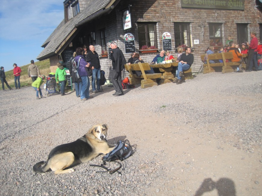 Klicke auf die Grafik für eine vergrößerte Ansicht

Name: wai_009.jpg
Ansichten: 75
Größe: 201,5 KB
ID: 3356472