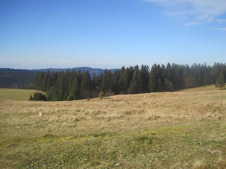 Klicke auf die Grafik für eine vergrößerte Ansicht

Name: wai_011.jpg
Ansichten: 75
Größe: 161,4 KB
ID: 3356473