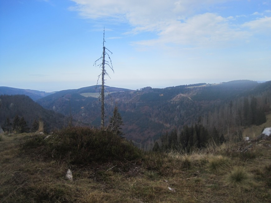 Klicke auf die Grafik für eine vergrößerte Ansicht

Name: wai_013.jpg
Ansichten: 76
Größe: 116,8 KB
ID: 3356474