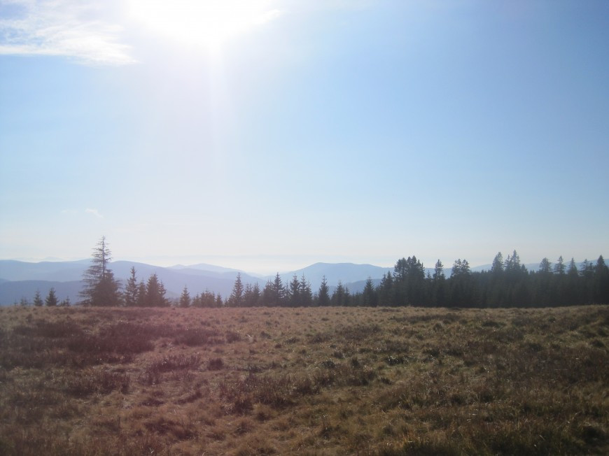 Klicke auf die Grafik für eine vergrößerte Ansicht

Name: wai_014.jpg
Ansichten: 74
Größe: 93,6 KB
ID: 3356475