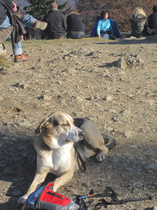 Klicke auf die Grafik für eine vergrößerte Ansicht

Name: wai_022.jpg
Ansichten: 75
Größe: 254,3 KB
ID: 3356480