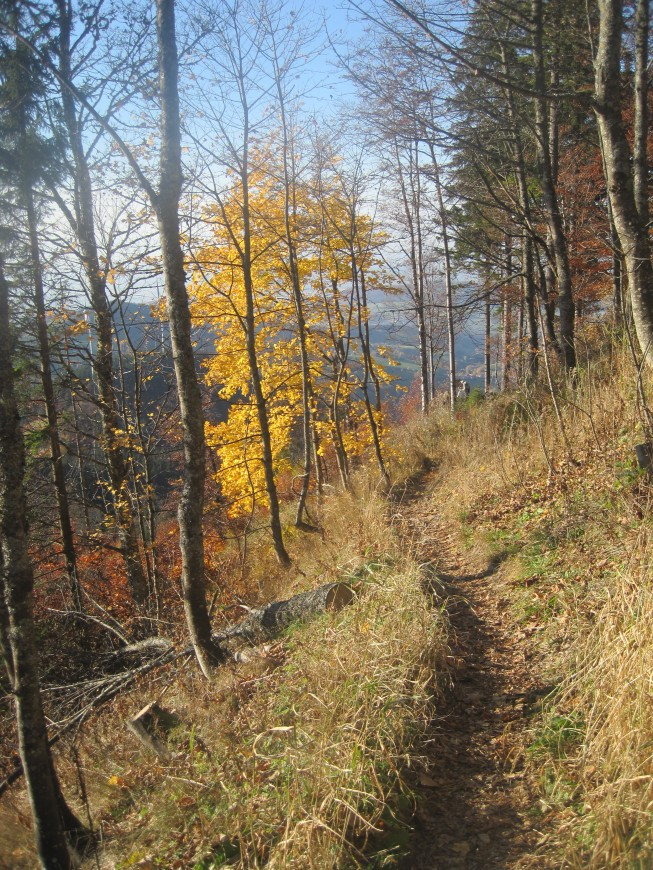 Klicke auf die Grafik für eine vergrößerte Ansicht

Name: wai_030.jpg
Ansichten: 75
Größe: 328,7 KB
ID: 3356482