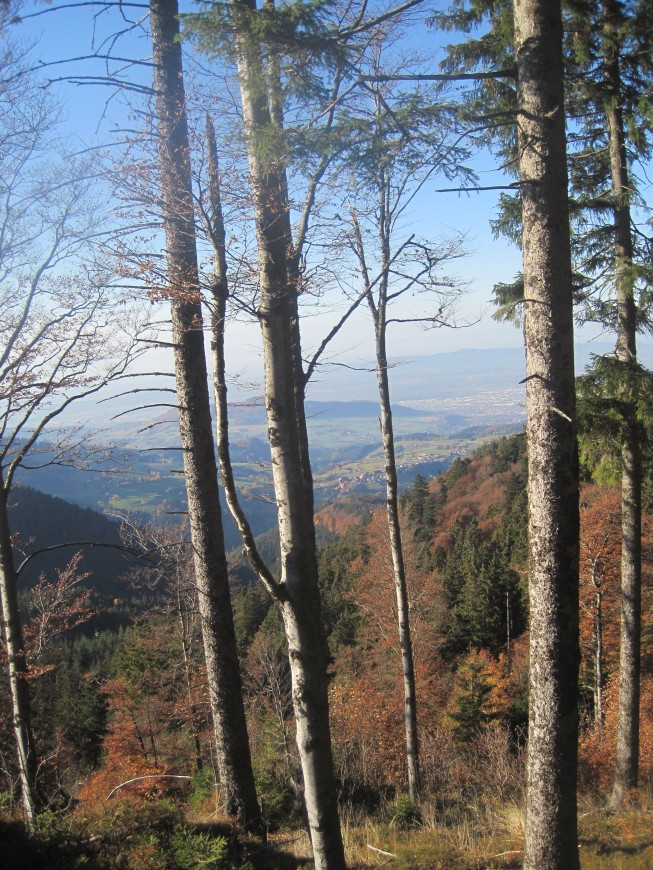 Klicke auf die Grafik für eine vergrößerte Ansicht

Name: wai_032.jpg
Ansichten: 76
Größe: 279,2 KB
ID: 3356484